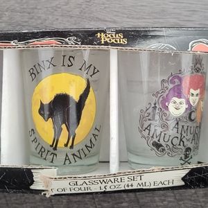 Disney hocus pocus bundle